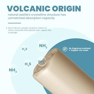 Basic Zeolite Cat Litter Pellets 7lbs & Cat Pee Pads 10 Count - Refill for Tidy Cats Breeze Litter System | Premium Stainless Steel Shifting Tray