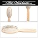 Chris Christensen 20 mm Oval Pin Dog Brush, Original Series, Groom Like a Professional, Stainless Steel Pins, Lightweight Beech Wood Body, Ground and Polished Tips
