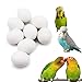 FOIBURELY 8 Pcs Solid Parrot Plastic Eggs Hatching Eggs Lovebird, Bourkes, Lineoleated, Eng Budgie. Trick The Birds to Stop Laying Eggs, Fake Eggsï¼ˆ22mm*18mmï¼‰