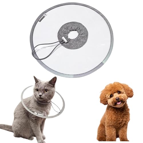 Lifetips^Cj[v[h ^Cj[v[Lp GUxXJ[ h \tg y pPA ی Ȃߖh~ p EȒP 􂦂 PAJ[(NAj(Lj