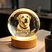 GABITA Personalized 3D Photo Crystal Ball, Custom Engraved Picture Lamp with Wood Base, Night Light for Dog Lovers, Loss of Pet Sympathy Gift Night Light, Dog Memorial Gifts, Custom Photo Portrait