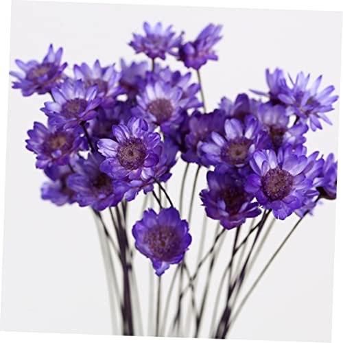 Daisy seca decoración 30 piezas para arreglo DIY miniatura 7