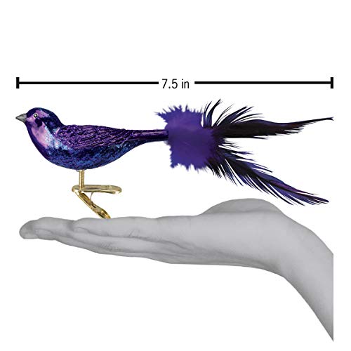 Old World Christmas Ornaments: Bird Watcher Collection Glass Blown Ornaments For Christmas Tree, Purple Martin #TOP2