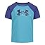 Glacier Blue Rag