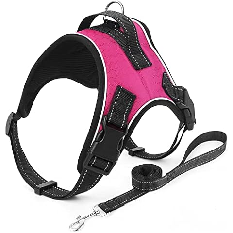 Belababy No Pull Dog Harness and leash Set, Breathable Adjustable Comfort Dog Halter Harnesses, Escape Proof Kitten Soft Front Dog Vest with Handle Leash Clip, Best Training Walking, XXS Rose Cover