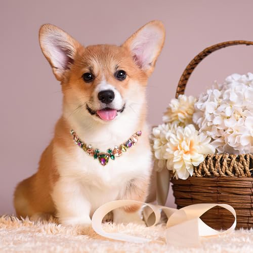 Image of HOWWFALY Dog Collar and Cat Collar Gold Chain Necklace Stainless Steel Adjustable Yellow Diamonds Collar with Cute Pet Paw for Small Medium Pets Cats Dogs Kitten Puppy