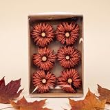 urbanjngl - Decorative Pumpkins - Brown - Ø 4 cm - 6 pcs - Natural Material