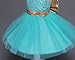 JiaDuo Baby Girl Lace Mesh Tutu Dress Sequin Bow Toddler Princess Gown ,Soft Mint,12-18 Months (80)