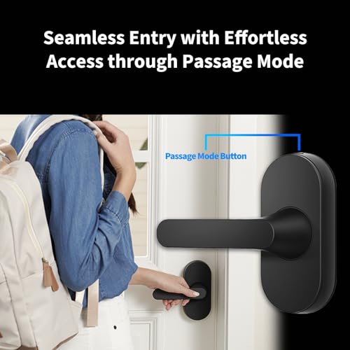Smart Lock U300