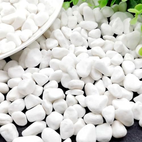 Pierres décoratives blanches anti-boue pour protéger vos pots et aquariums