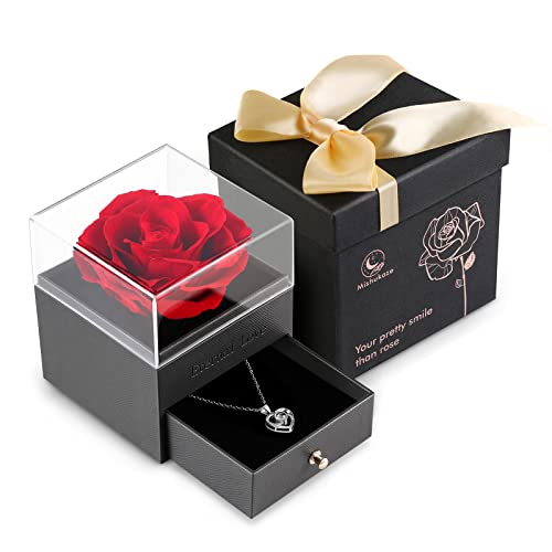 Mishukaze Ewige Rose Geschenkbox mit I Love You Halskette aus 925 Sterlingsilber, Echte Konservierte Rose Schmuck Rosenbox Geschenke für sie für Valentinstag/Geburtstag/Muttertag/Jahrestag (Rot)