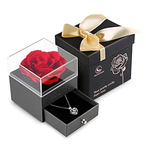 Eeuwigdurende Roos Gift Box met “I LOVE YOU” Necklace in 925 Sterling Silver, Mishukaze Echte Bewaarde Roos Box Gifts voor haar voor Valentijnsdag/Verjaardag/Moederdag/Verjaardag (Rood)