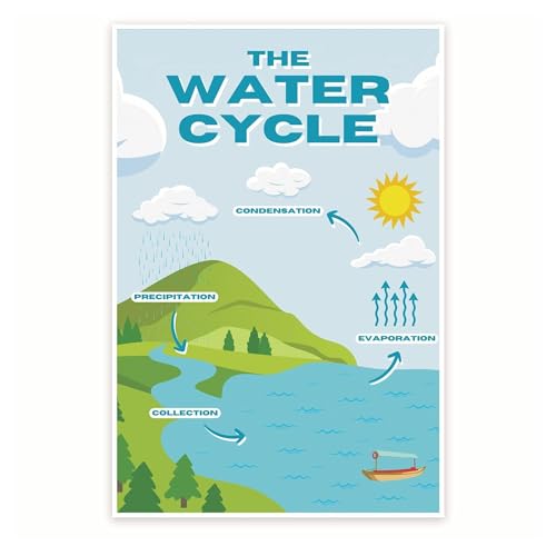 Educational Water Cycle Poster for Kids - Laminated Science Classroom Decor - Hydrology Earth System Wall Chart Teacher Resource