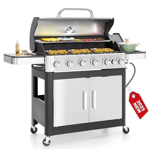 6 Burner Propane Gas BBQ Grill with Side Burner & Porcelain-Enameled Cast Iron Grate, 65,800 BTUs Barbecue Grill 665 Sq. In. Grilling Area, Outdoor Propane Grill for Camping Patio Backyard Cooking