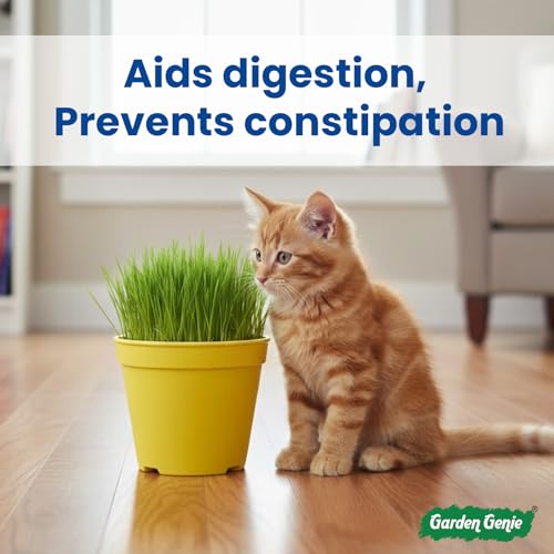 Image of Garden Genie Cat Grass Seeds DIY Growing Kit for Pets, Set of 1