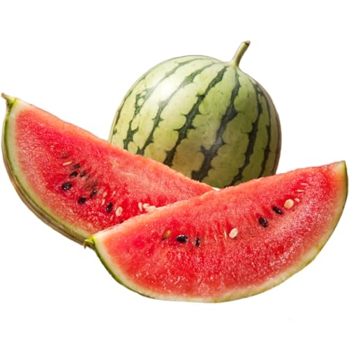 海祥 [先行予約]みんな大好き!甘〜ぃ!シャリ美味!!京丹後産小玉スイカ!!1玉(ひとりじめ、姫甘泉、ひめまくら、砂丘たまごから1種類)(2026年7月上旬〜発送)