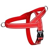 rabbitgoo Dog Harness No Pull, Quick Fit for Large Dogs with Soft Padded Handle, Chest Adjustable Reflective Pet Vest, No Choke Escape Proof for Walking Training, Red L