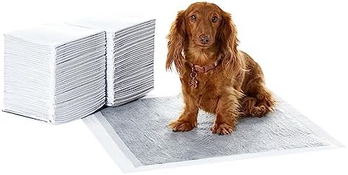 Amazon Basics Trainingspads für Hunde und Welpen mit Kohlenstoff zur Geruchskontrolle, auslaufsicheres Design mit schnell trocknender Oberfläche, Regulär(80 Stück), Grau