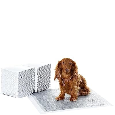 Amazon Basics Carbon Odor Control Dog and Puppy Pee Pads, 5-Layer Leak-Proof Super Absorbent, Quick-Dry Surface for Potty Training, Regular Size 22"x22", Gray, 120 Count