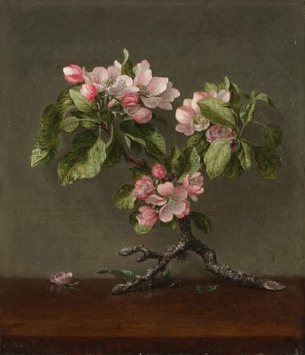 Impression sur toile Fleurs de fruits : une peinture moderne haut de gamme signée Johnson Heade
