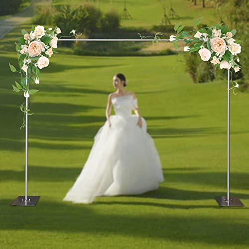 10ft x 10ft Pipe and Drape Backdrop Stand Kit - Heavy Duty Adjustable Stand with Weighted Metal Bases for Wedding Ceremony, Silver