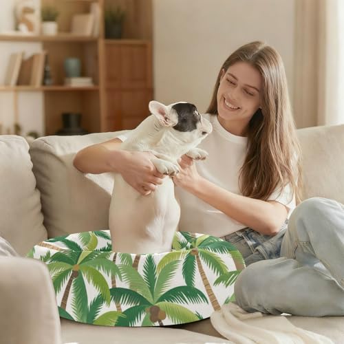 Lit d'été en forme de cocotier pour sieste de petit chat