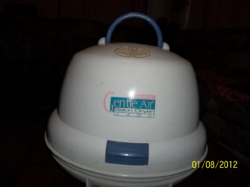 Ceramic 1875W Dryer
