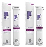  Multi-Mam LactaMax Nahrungsergänzungsmittel für die Stillzeit mit Fenchel-Extrakt - 20 Brausetabletten (2 Pack)