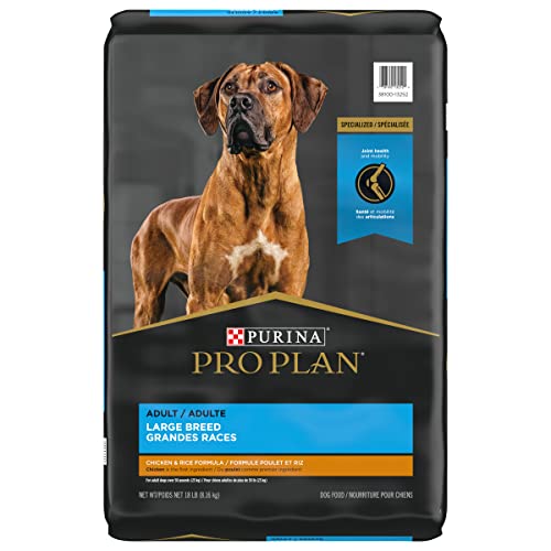 The Best Dog Food for Dobermans, According to a Vet Pet News Daily