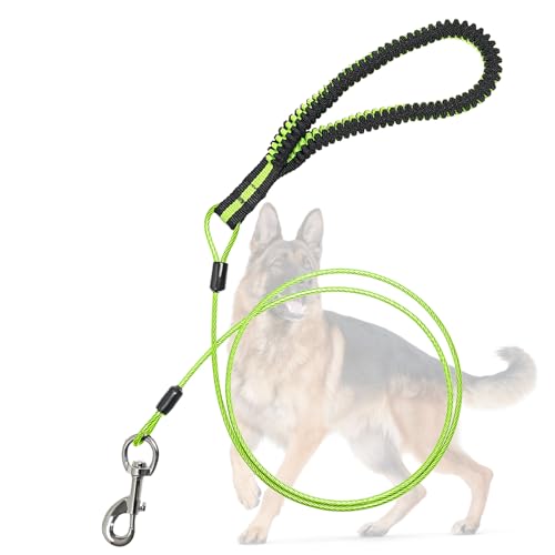 Heavy Duty Dog Leash, Chew Proof Metal Leash for Large Dogs (Up to 250lbs), WireRope Dog Leashes with Soft Silicone Grip (Green, 5 FT)