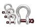 Screw Pin Lifting Anchor Shackle 1-1/4