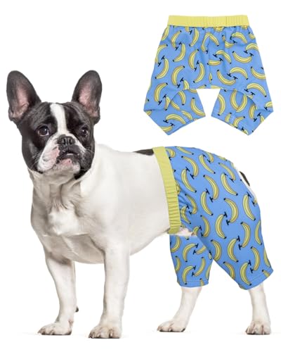 CuteBone Dog Swim Trunks