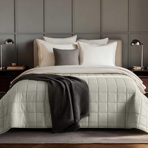 HomeSmart 50lbs Weighted Blanket Queen Size – Heavy Pressure, Ultra Soft Hypoallergenic Fabric – The Heaviest Weighted Blanket, 88x88, Misty Grey