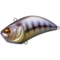 レイドジャパン　レベルバイブビック　8個セット レイドジャパン レベルバイブ B.I.G. ビッグ その2 (ルアー