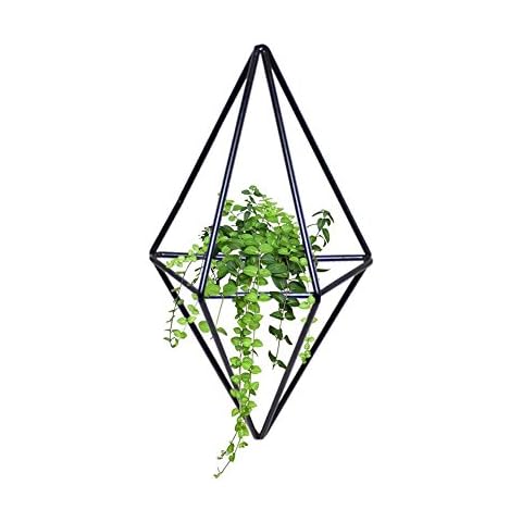 Luckystar4you Hanging Planter Air Rack Hanging Basket - Wall Vase & Geometric Deco, Planter For Indoor Plants, Succulents, Air Plants, Cacti, Artificial Plants and More Cover