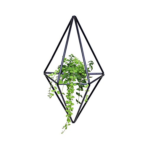 Luckystar4you Jardinière Suspendue & Pot Géométrique pour Décoration Murale - Vase De JardiniÈRe Suspendue,Pot Suspendu Plante Interieur, pour Plantes Succulentes/Fleurs/ÁLoe/Mini Cactus