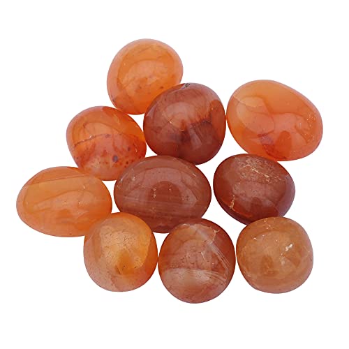 Healing Crystals India Chakra Crystals Healing Stones Natural Crystals Gemstones Spiritual Stones Reiki Healing Chakra Balancing Metaphysical Healing Polished Tumbled Stones (10, Carnelian)