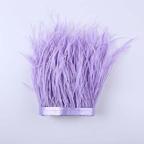 Plumes d'autruche pour robe et costume haut de gamme ruban de 5 yards - 6