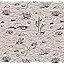 Desert Sands