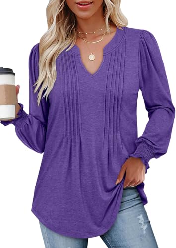 BETTE BOUTIK Long Sleeve Shirts for Women Fall Tops Dressy Blouses Pleated V Neck Tunic Tops for Leggings S-3XL