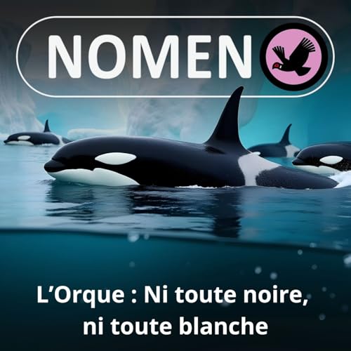 S05E33 L'Orque : Ni toute noire, ni toute blanche