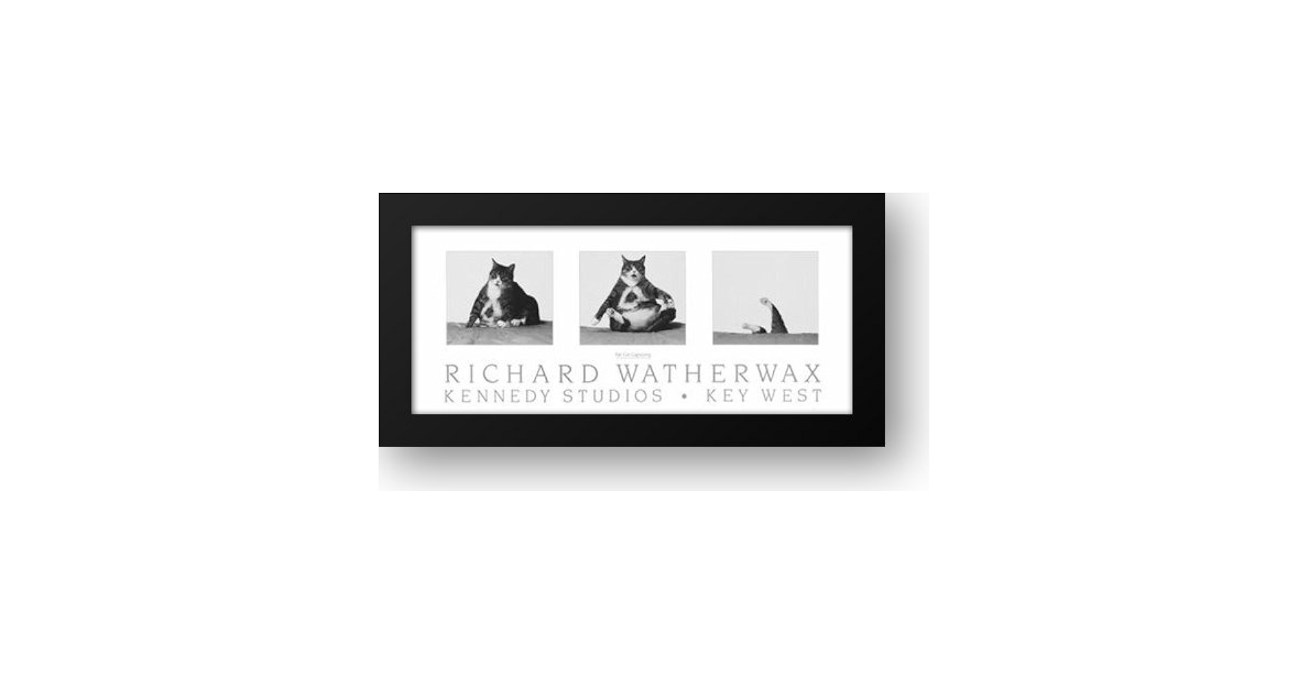 KATALYSE MARIA SCHWAB １９３１年 Moth Photographers Group – Inga sparsiciliella – 1034