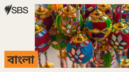 এ সপ্তাহের খবর: ২৮ নভেম্বর, ২০২৫