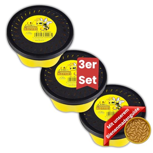 Lebende Bienenmaden – 3er Set (ca. 120 STK) – Premium Angelköder für Forellen & Saibling – Frische, aktive Ködermaden für Pose, Grundblei & Sbirolino – Lebendfutter