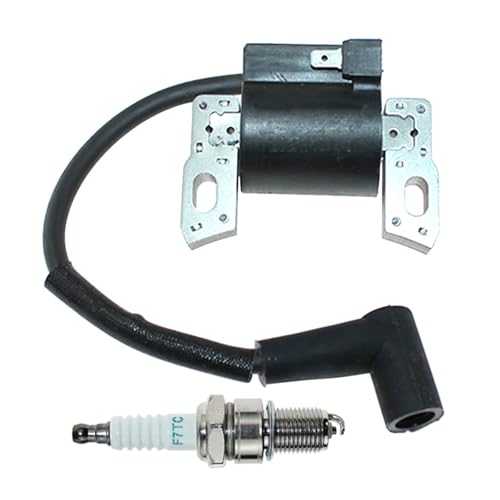 HYUYRFJR Ignition Coil Fit For Bri-ggs for Stra-tton engine 121S12 121S17 122Q02 122Q12 122Q42 122Q72 122R02 122R42 122S02 122S07 124Q02