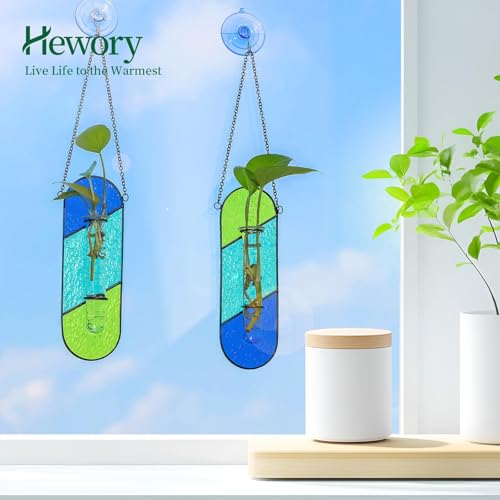 Cadeau pour décoration de fenêtre avec ce lot de 2 pots hydroponiques en verre coloré