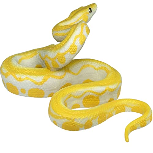 Best Python For Dummies Reddit 2023 Where to Buy?