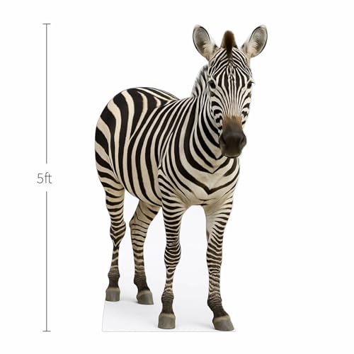 Image of Zebra 5FT Life Size Cardboard Cutout - A Fun Animal Standup for Photo Booths, Birthday Parties, and Events