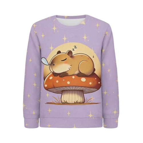 HUIACONG Sweatshirt for Boys Girls Sweater for Kids Children Shirts