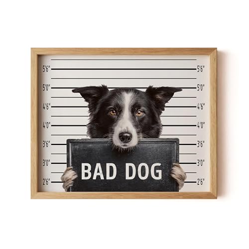 Image of aj decor Border Collie Mugshot Wall Art Print Poster, Dog Pet Lover Picture Painting Artwork Bedroom Living Room Office Dining Room 150D (Border Collie Mugshot, 11 inch W x 14 inch L, Wood Frame)